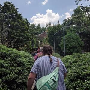 Meet your Posher, Carter